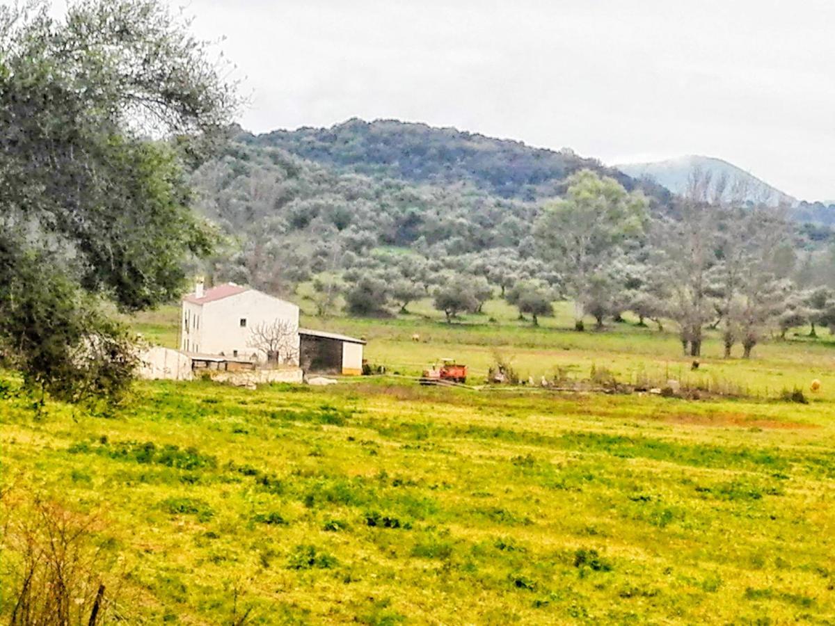 Pensjonat El Antiguo Molino El Bosque Zewnętrze zdjęcie