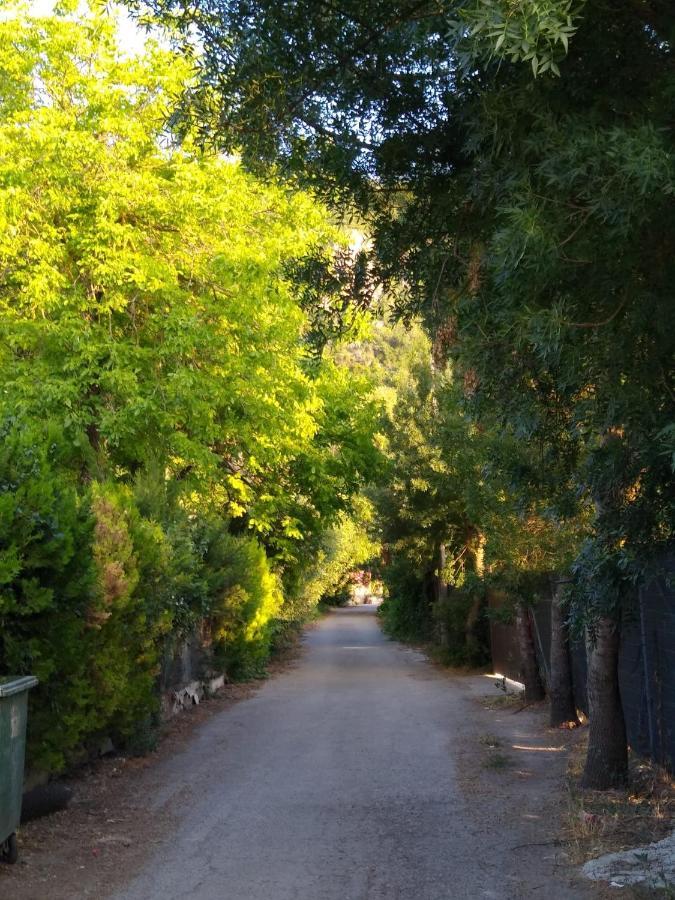 Pensjonat El Antiguo Molino El Bosque Zewnętrze zdjęcie