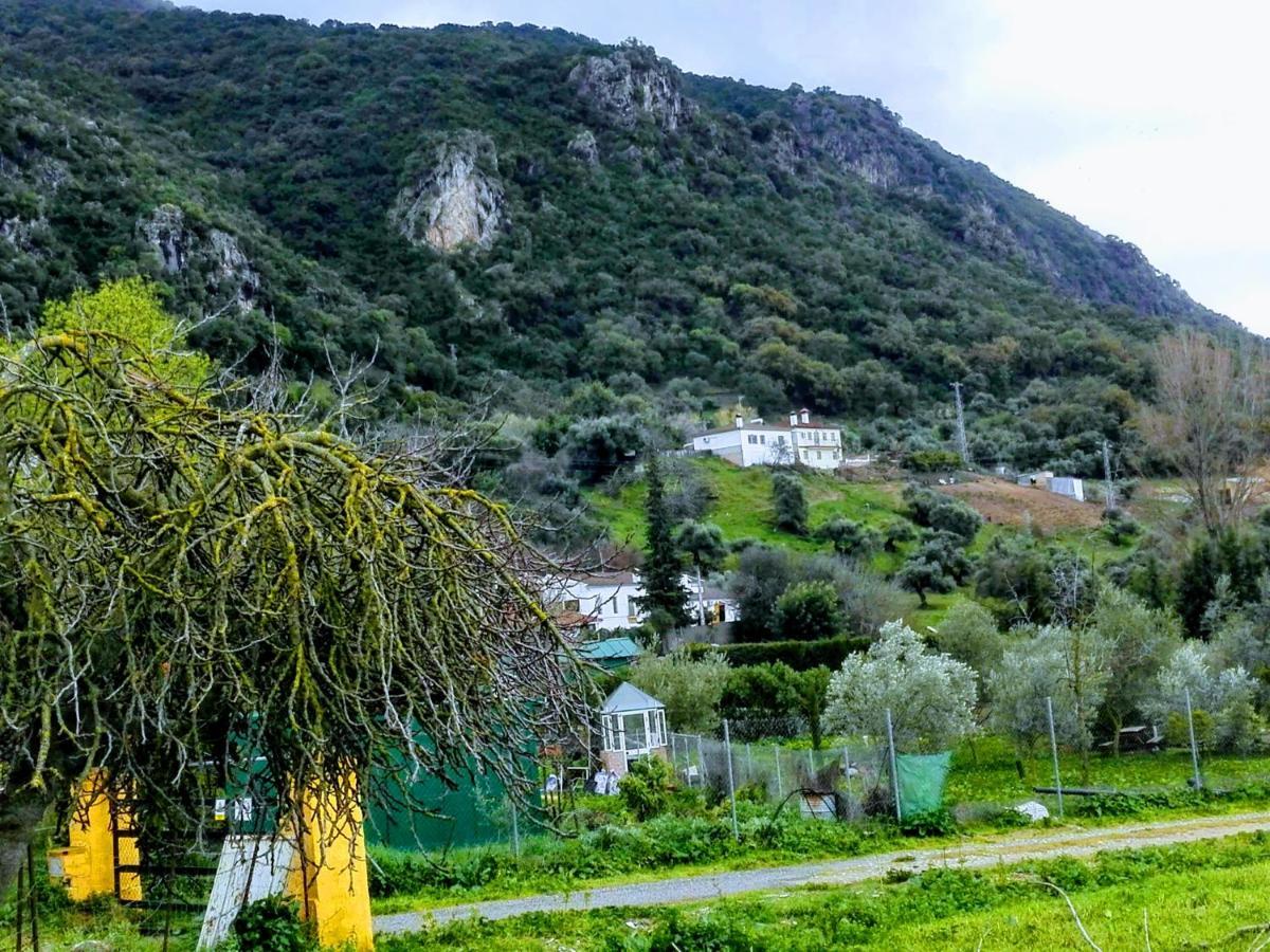 Pensjonat El Antiguo Molino El Bosque Zewnętrze zdjęcie